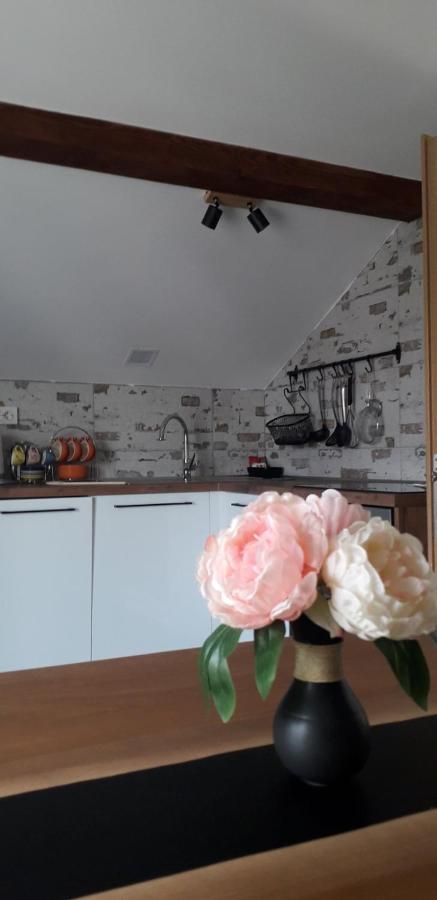Apartman Megi & Studio Apartman Tomi - Self Check In Krapina Exterior photo